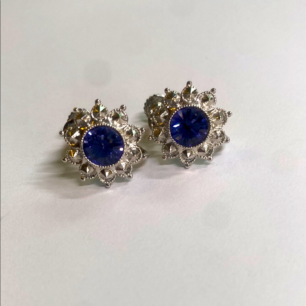 Eye Catching Joan Rivers Signed Silver and Blue-purple adjustable clip earrings